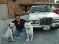 Harmik Cars & Dogs