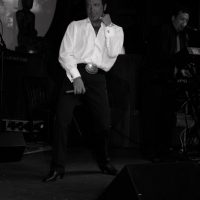 Harmik in Concert