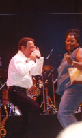 Harmik in Concert